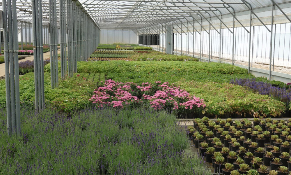 coir products coir pro horticultural coir ltd