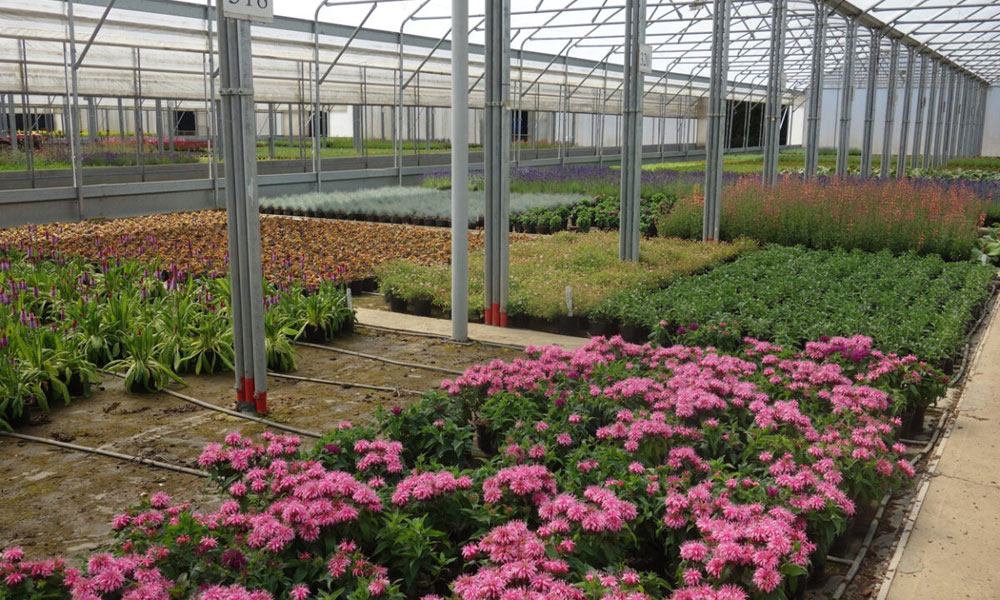 why use coir coir pro horticultural coir ltd