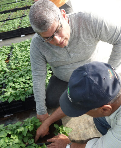 why use coir coir pro horticultural coir ltd