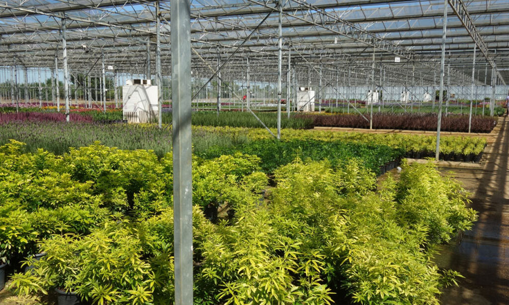 coir products coir pro horticultural coir ltd